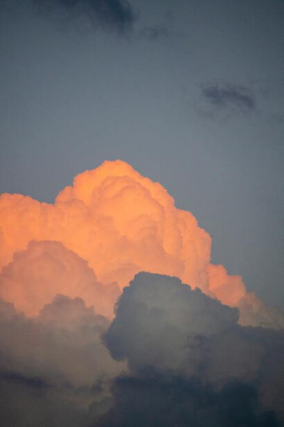 Nel cielo affaticato dal confronto con il passato si è mostrata la potenzialità di nuove fioriture