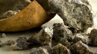 Galbanum, una planta que crece en Irán y Afganistán