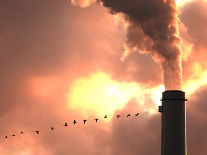 Ask how to reduce energy consumption by 70%, asap