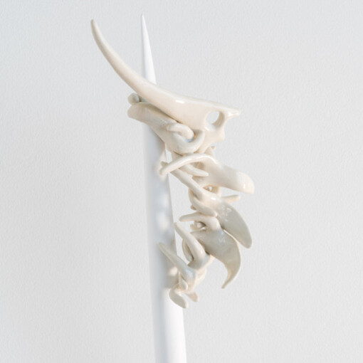 The tenant. Courtesy of Proto Gallery