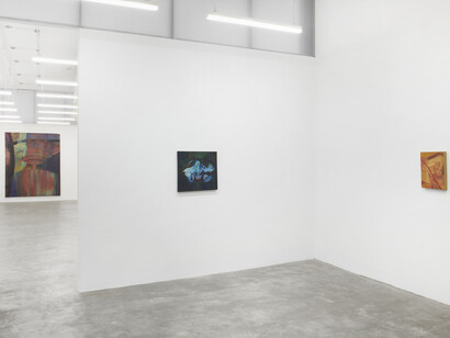Leah Ke Yi Zheng, solo exhibition at the David Lewis Gallery, installation view. Courtesy of the artist and David Lewis Gallery, New York