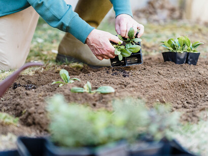  La Fiera dedica spazio alle iniziative e alle pratiche che promuovono la biodiversità nelle aree agricole e la conservazione del territorio