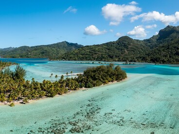Tra immersioni e passes, l'autore si confronta direttamente con un ambiente naturale che non è soltanto scenario, ma esperienza fisica e sensoriale