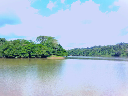 La punta de La Trinidad vista desde Punta Alvarado. Foto: Luko Hilje