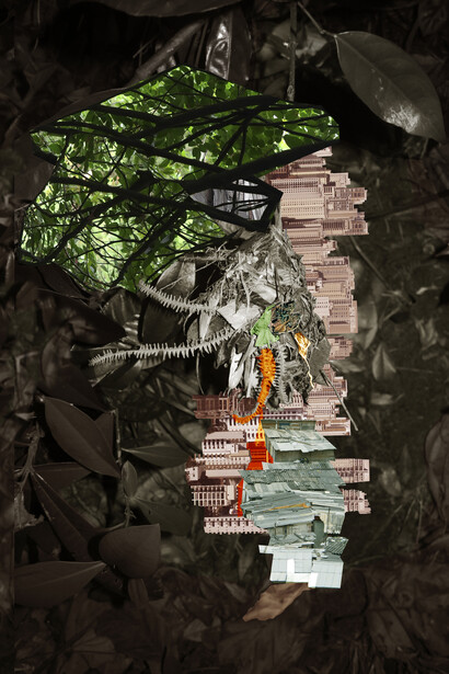 Caio Reisewitz, avanhandava, 2015, Jet d’encre sur papier Hahnemühle, 55 x 42 cm, Edition : 8 + 2 EA, Courtesy Bendana I Pinel Art Contemporain & artiste