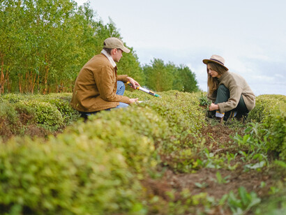 A couple working on an organic farm in a rural countryside setting, engaged in agricultural and agronomy practices