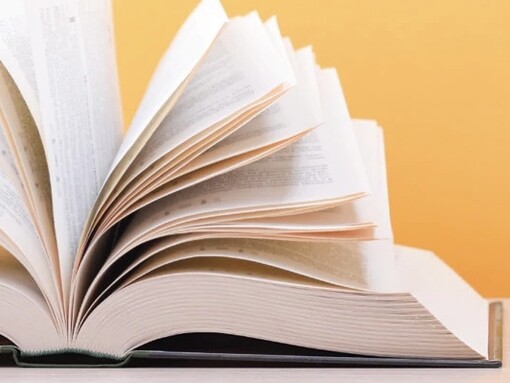 Contam histórias os poetas