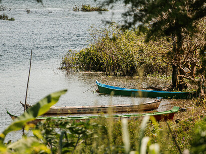 Entenda a importância das 'gentes' da Amazônia: da biodiversidade à sociodiversidade, todas as formas de vida têm seu papel nesse ecossistema vital