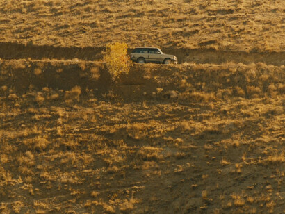 Il sapore della ciliegia, film di Abbas Kiarostami. Salite, discese, curve a gomito, cambi di direzione più o meno improvvisi, biforcazioni stradali, polvere, uccelli che intersecano il percorso e via discorrendo, assumono tutto un altro significato in tale ottica, rendendo molto più antropomorfico il movimento dell’auto
