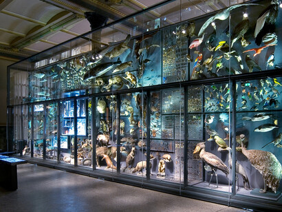 Evolution in Action. Courtesy of Museum für Naturkunde