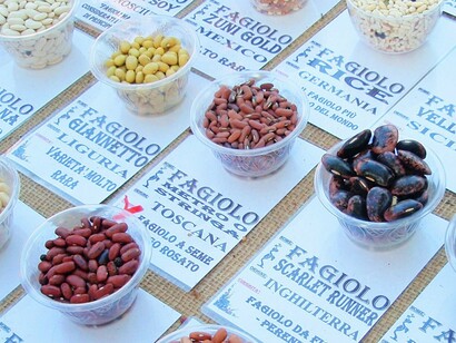La biodiversità dei semi