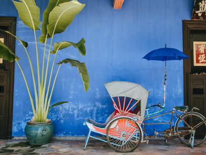 A bike and a plant stand against a vibrant blue wall, adding a touch of beauty to the streets of George Town, Penang, Malaysia