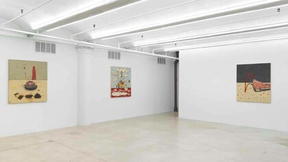 Installation view, Kirk Hayes, Droll’s Lament, New York, USA