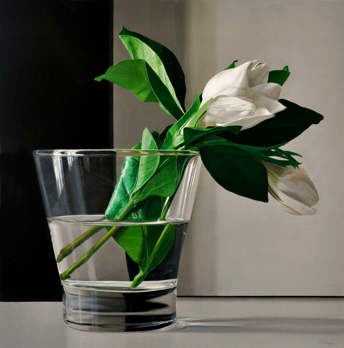 Fernando O'Connor, Two Jasmines, Oil on canvas, 90 x 90 cm