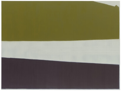 Suzanne Caporael, 688 (Proximate cause), 2014, Oil on linen, 54 x 72 inches, 137.2 x 182.9 cm