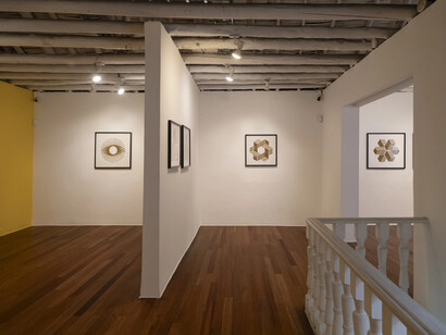Esteban Peña Parga, Drawings in pencil, exhibition view. Courtesy of Nueveochenta Gallery