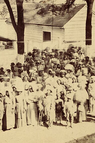 Amerikanische Sklaven, Plantage South Carolina