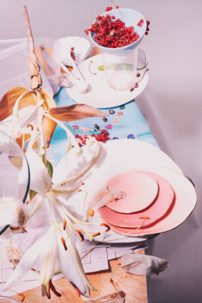 Laura Letinsky, The puny power of wo, 2023.  Courtesy of Document Gallery