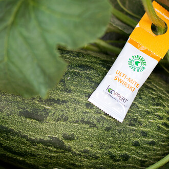 Fruit Logistica 2018. Courtesy of Berlin ExpoCenter City and City Cube