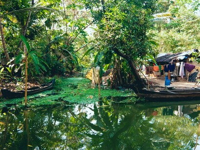 Backwaters in Kochi