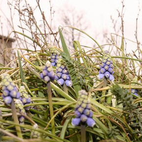 Resanita. Courtesy of Kunst Haus Wien