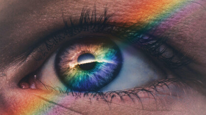 There are simply two sexes in this species