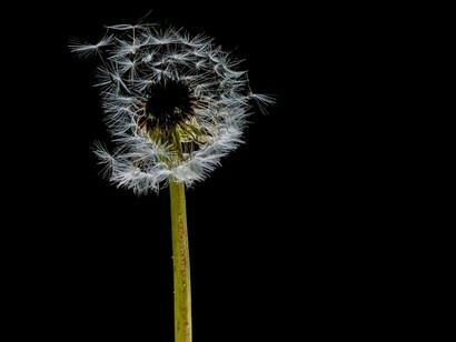 If we want our future to be positive, we must change our negative mental patterns today