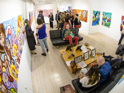 Castle Fitzjohns Gallery