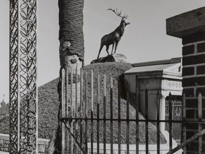 Lee Friedlander in Louisiana. Courtesy of NOMA