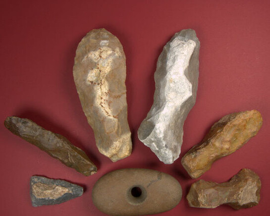 Local Archaeology. Courtesy of RAMM