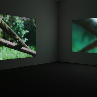 Wolfgang Tillmans. Courtesy of David Zwirner