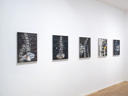 The Fragrance of a Paper Rose. Courtesy of Galerie Daniel Templon