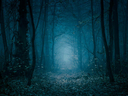 Le opposte fazione rappresentano due umanità differenti: l’una governata dalle leggi del dharma e l’altra rappresentata dai Kaurava che seguono il sentiero dell’Adharma, pertanto restano soggiogati dalla nefasta potenza dell’instabilità e del disordine spirituale e sociale