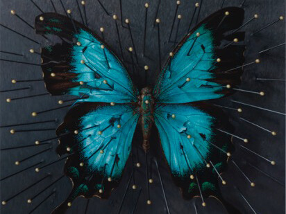 Cindy Wright
Fashion Victim, 2015
oil on linen
82 2/3 x 90 1/2 inches
210 x 230 cm