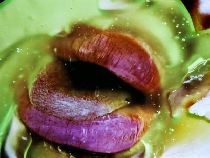 Read My Lips. Courtesy of MFA