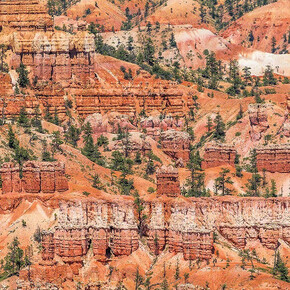 Pattern in Landscape. Courtesy of Front Room