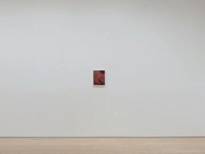 Angela Fraleigh, I have decided not to be hungry, exhibition view. Courtesy of Inman Gallery