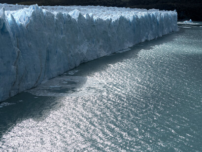 Natura Mirabilis. Courtesy of Luisa Catucci Gallery