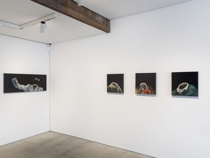 Who is Lun*na Menoh?, 2023, installation view. Courtesy of TOTAH, NYC