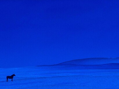 Pete Turner, Blue horse, 1961. Courtesy of Bruce Silverstein Gallery