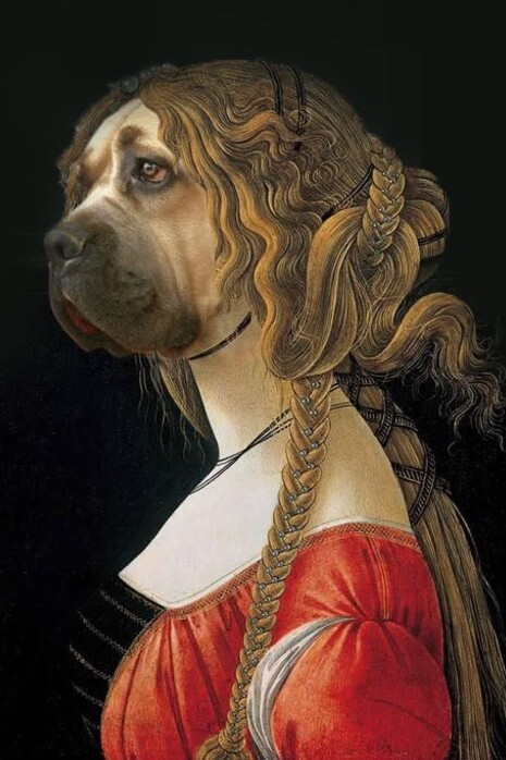 Non più bambine e bambini, ma cani