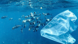 La contaminación plástica ha convertido a los océanos en un inmenso depósito flotante cuyos efectos alcanzan ya a toda la vida del planeta