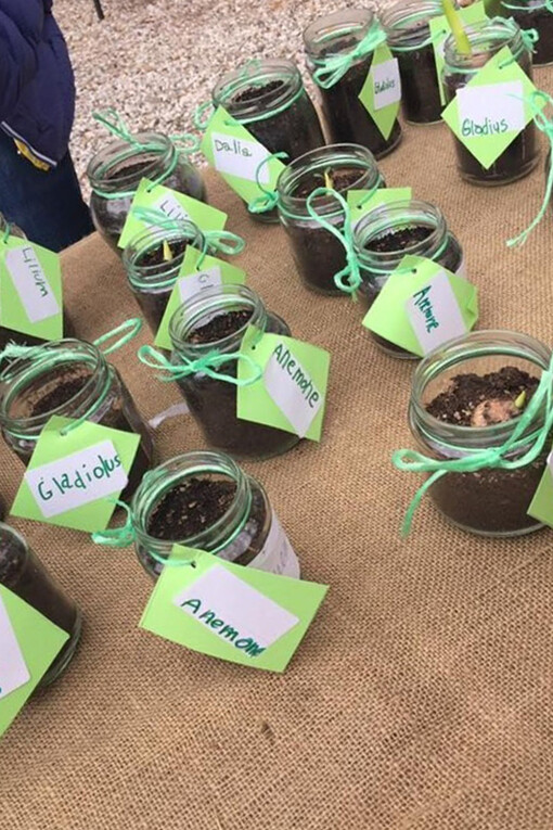 Sementi e vasetti a Verdescambio