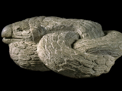 New Neighbours. Courtesy of Neues Museum