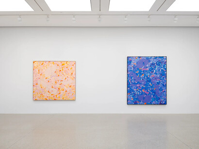 Tunji Adeniyi-Jones, Immersions, exhibition view. Courtesy of White Cube