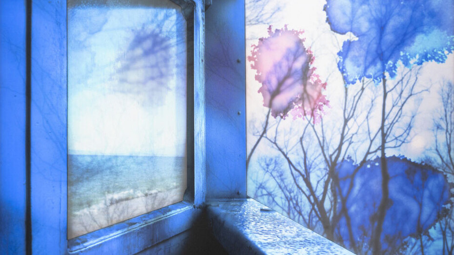 Nevil Dwek, Stillness (detail), 2026. Courtesy of Winston Wächter Fine Art