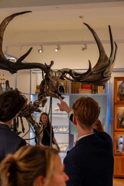 The pursuit of knowledge, exhibition view. Courtesy of M-Museum Leuven