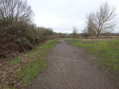 Nada de lo que ocurre en esos espacios puede comprenderse desde una sola disciplina. Sendero del Parque Natural Burgess Field, Port Meadow, Oxford, Inglaterra