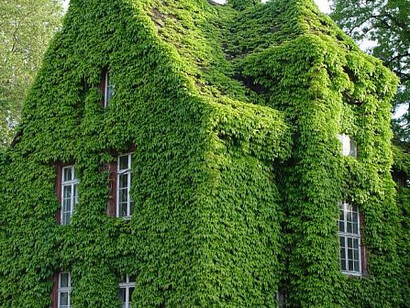 Un'alternativa ecologica