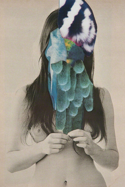 Charles Wilkin, Everything I know